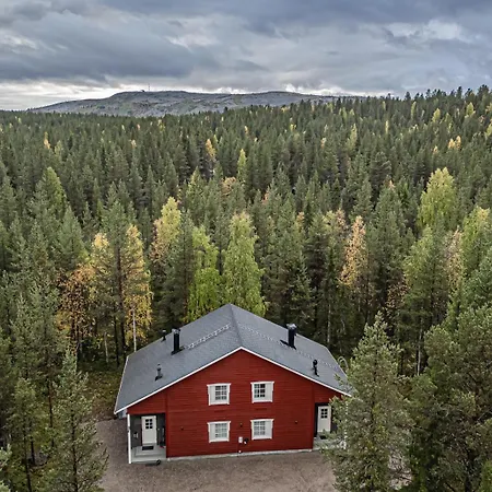 Aurelfox A By Aavalevi *