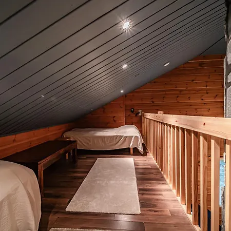 Aurelfox A By Aavalevi