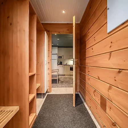 Aurelfox A By Aavalevi * Levi